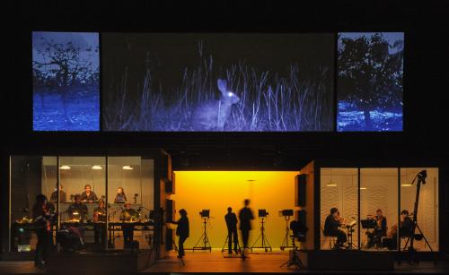 Der Kirschgarten / Stephen Cummiskey