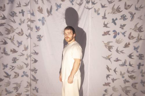 Parsa Yaghoubi Pour steht vor einem weißen Tuch, auf das viele kleine Vögel projiziert werden. Er steht so, dass ihn die Vögel umringen. 