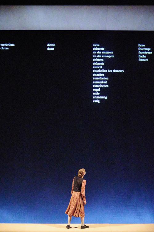 Bühnensituation: Alberta von Polnitz steht mit dem Rücken zum Publikum und blickt nach auf eine schwarze Leinwand, auf die weißer Worte untereinander projiziert werden: crebellum, chrom, dioxin, dunst, eiche, eideente …