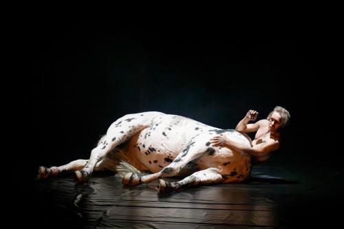 Ankündigungsfotos »Fremde Sonne I: Zwischenspiel«; zu sehen ist Mirco Kreibich hinter einem Pferdekörper.