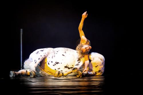 Ankündigungsfoto »Fremde Sonne I: II Zwischenspiel«; zu sehen ist Mirco Kreibich auf einem Pferdekörper.