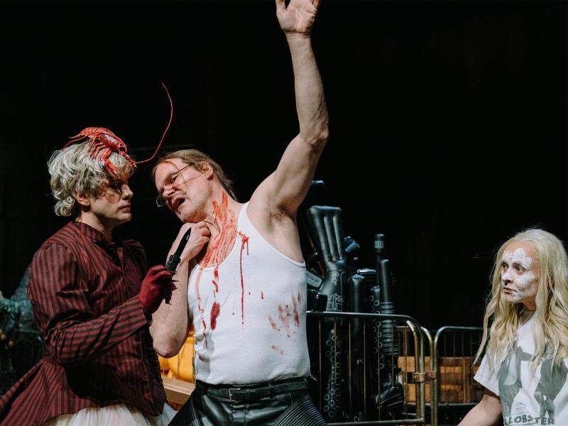 Das Bildnis des Dorian Gray / Julia Sang Nguyen