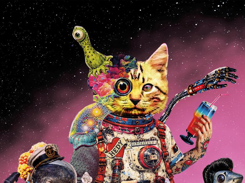 Collagen-Illustration mit einer überdimensionalen Katzenfigur im Zentrum: tätowiert, mit Mechanoarm, Cocktailglas und einem einäugigen grünen Alien-Wesen auf dem Kopf, gekleidet in roten Gummistiefeln und buntem Outfit. Flankiert wird sie von zwei skurrilen Begleitern – links eine Robbe im Astronautenhelm und Kapitänsmütze mit Radar-Gerät, rechts ein haifischköpfiges Wesen im Ringkämpfer-Dress. Der Hintergrund zeigt einen Sternenhimmel mit pinkfarbenem Nebel und eine sandige Küstenlandschaft.