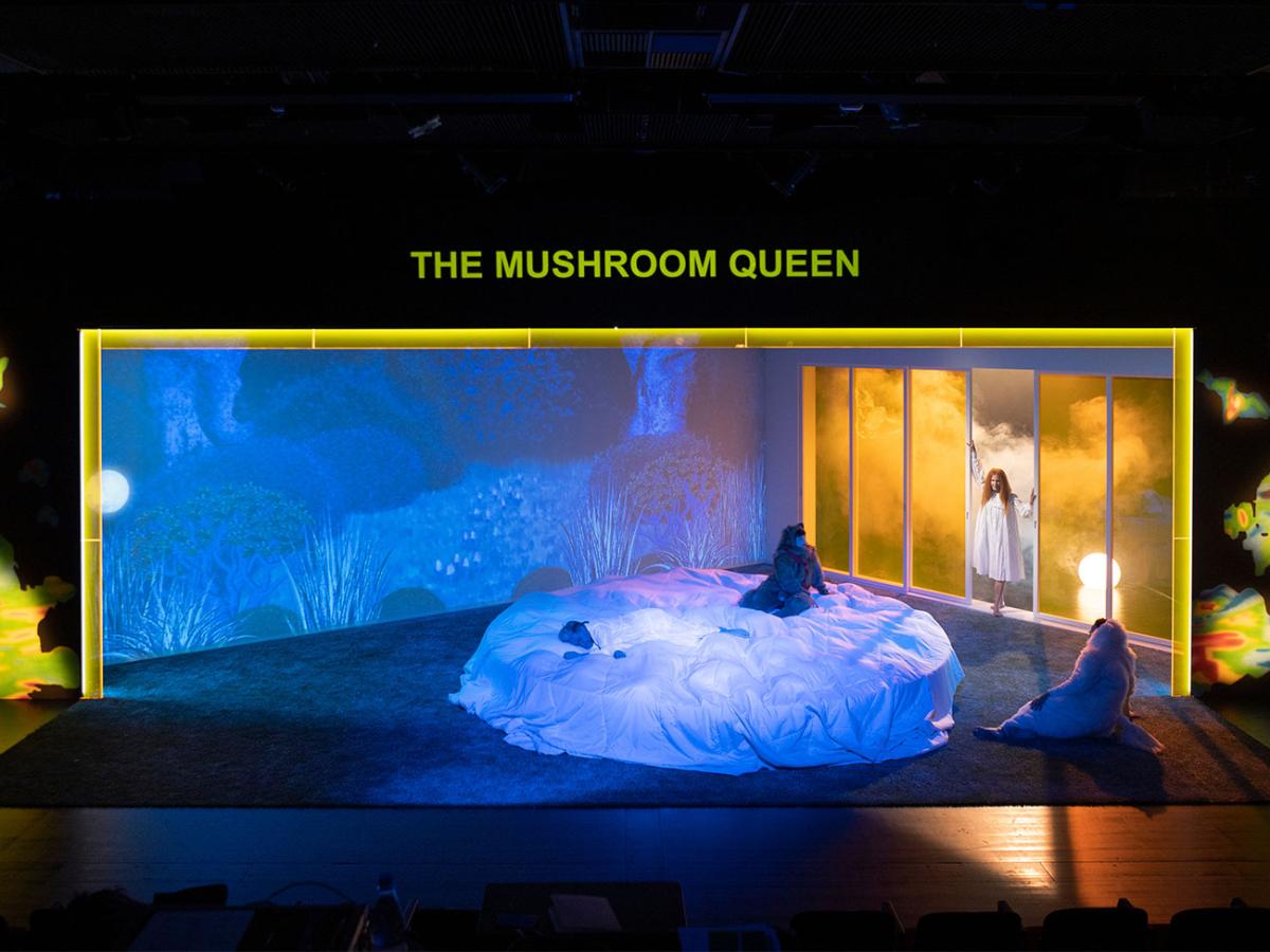 The Mushroom Queen / Hendrik Lietmann